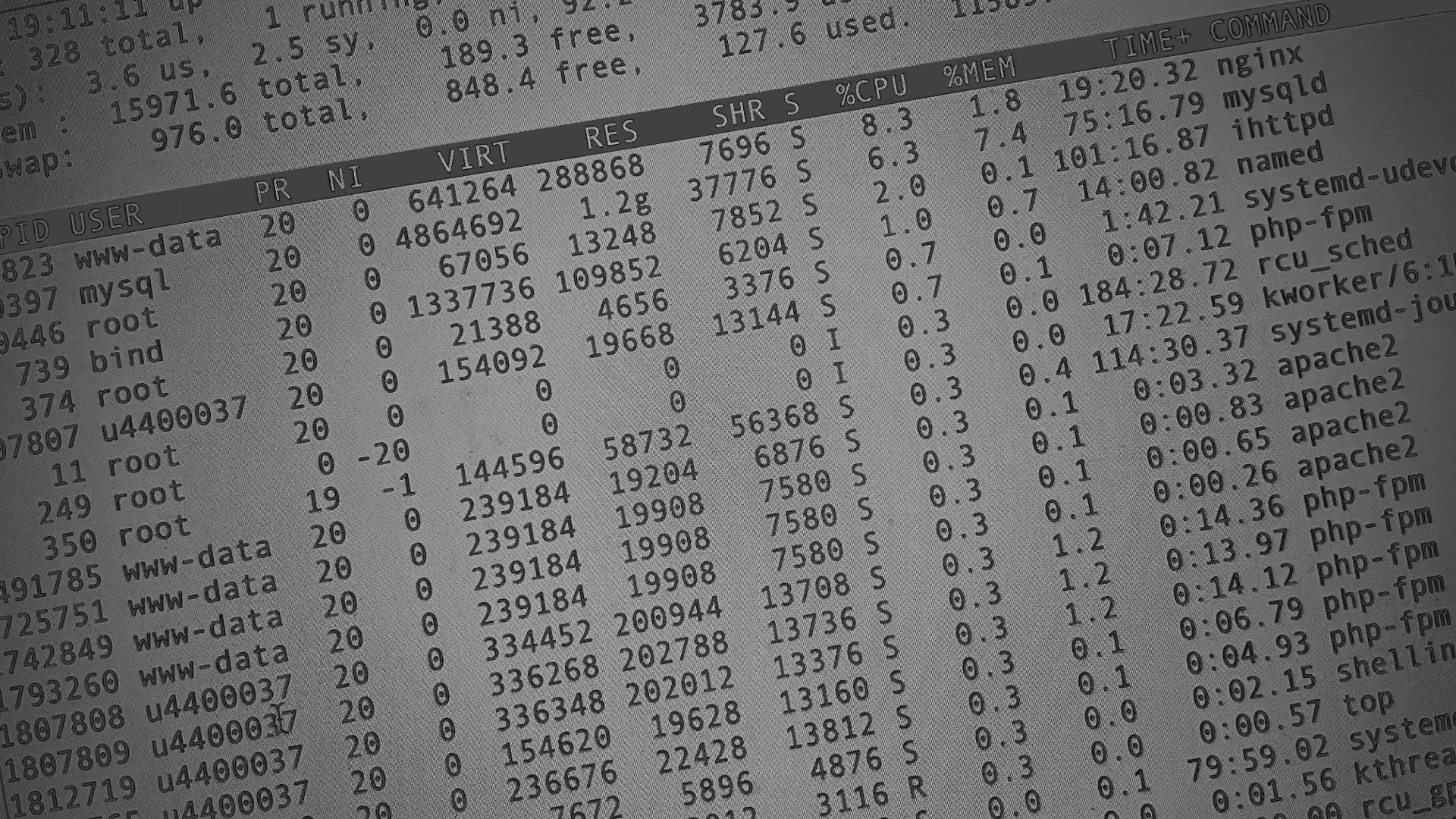 Настройка сервера в Мичуринске