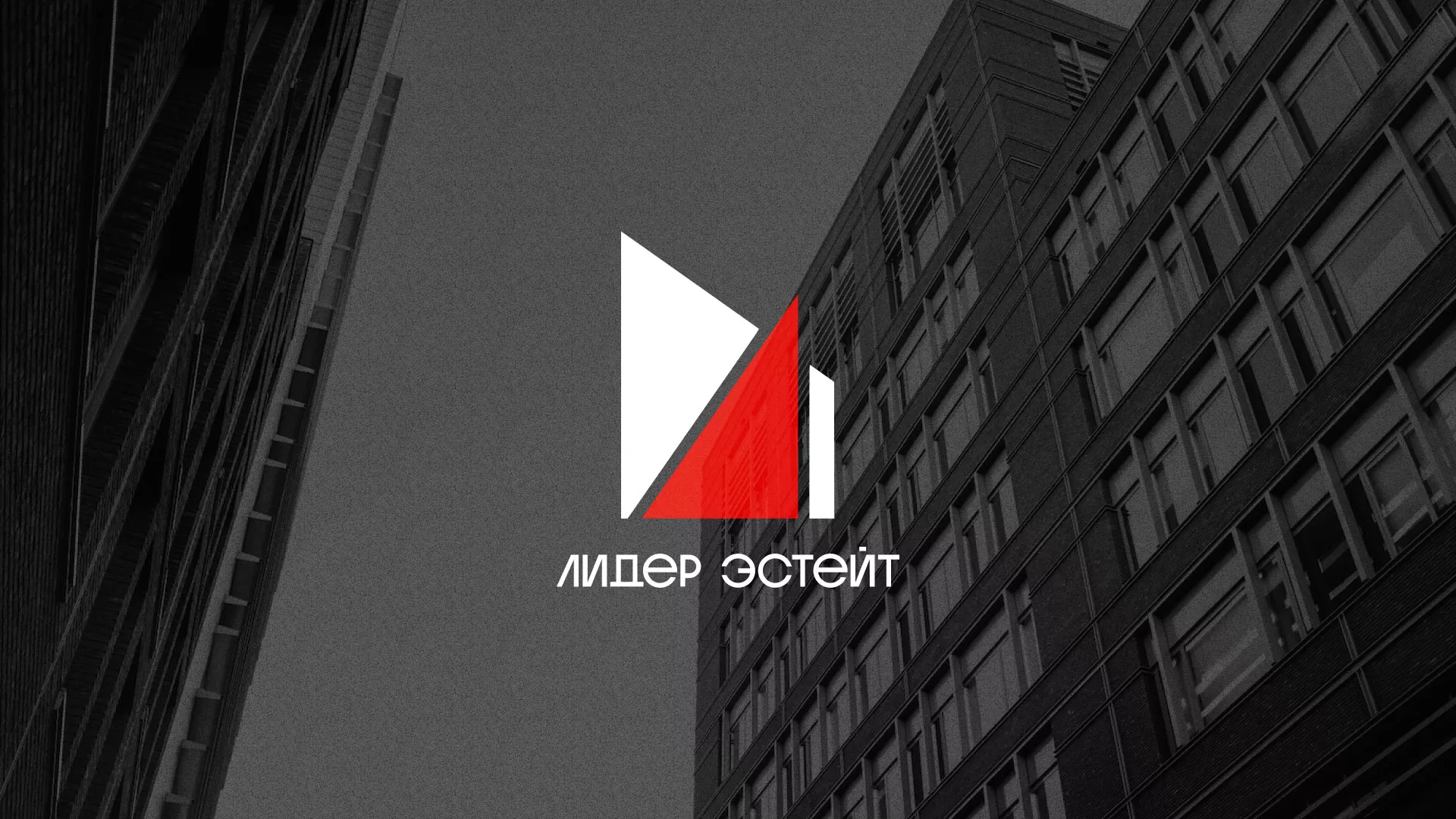 Сделали логотип для агентства недвижимости «Лидер Эстейт» в Мичуринске